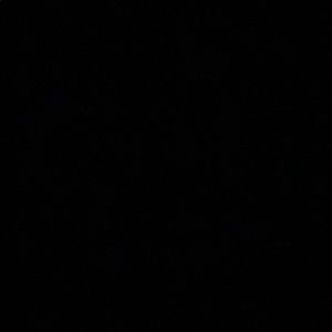 Meet your Posher, Arianna